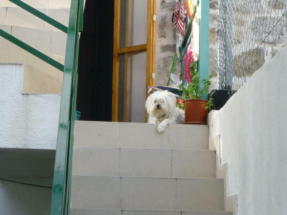 Cosy Accommodation In The Center Of 스플리트 외부 사진